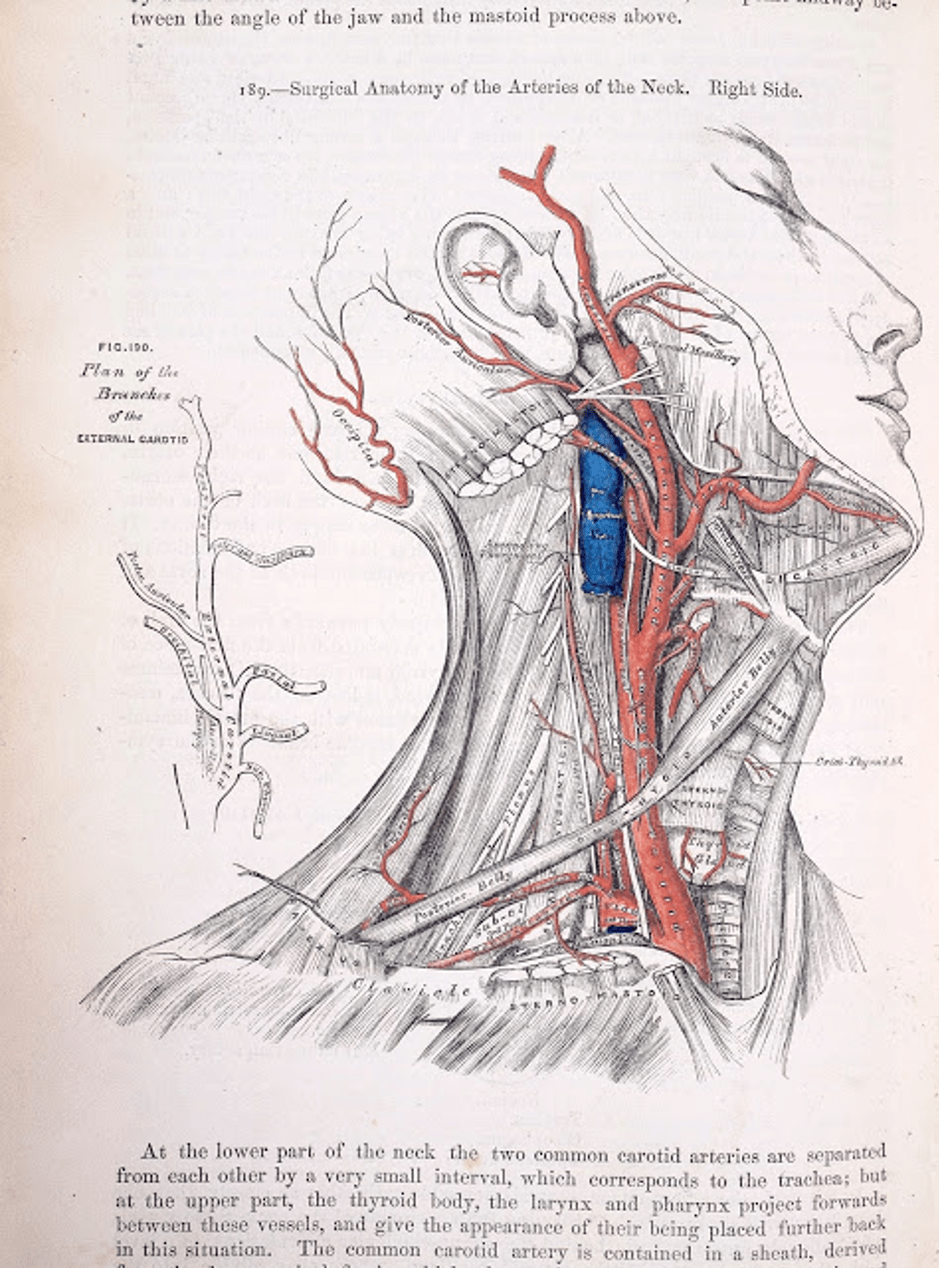 Who is Mr&nbsp;Gray?